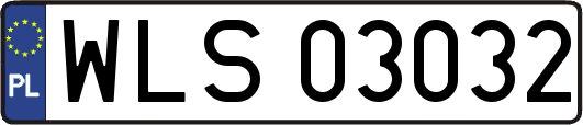 WLS03032