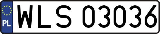 WLS03036