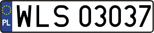 WLS03037
