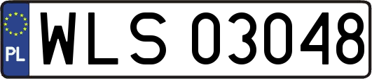 WLS03048