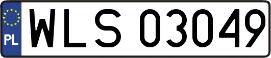 WLS03049