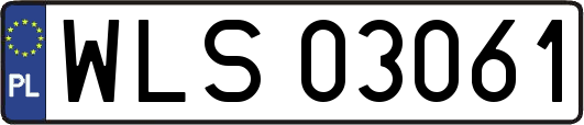 WLS03061