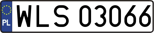 WLS03066