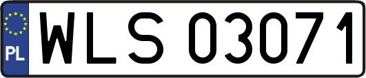 WLS03071