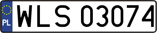WLS03074