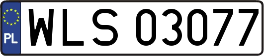 WLS03077