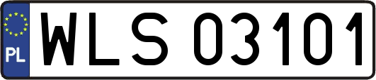 WLS03101
