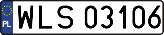 WLS03106
