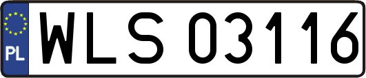 WLS03116