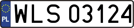 WLS03124