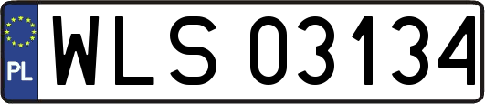 WLS03134