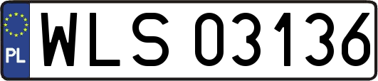 WLS03136