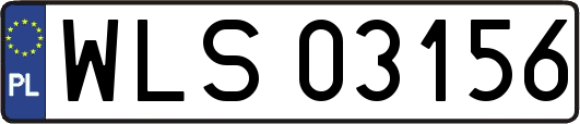 WLS03156