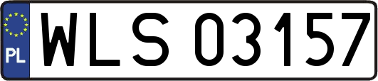 WLS03157