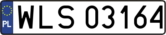 WLS03164