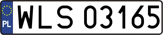 WLS03165