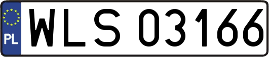 WLS03166