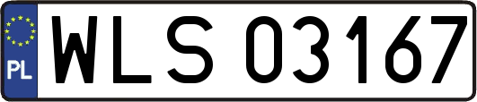 WLS03167