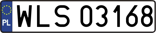 WLS03168