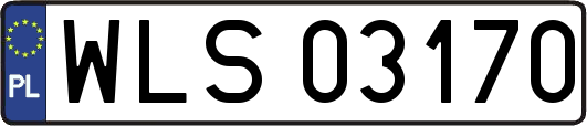 WLS03170
