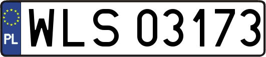 WLS03173