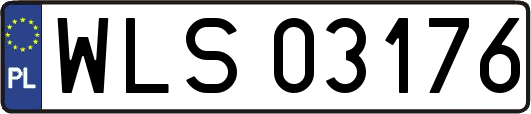 WLS03176
