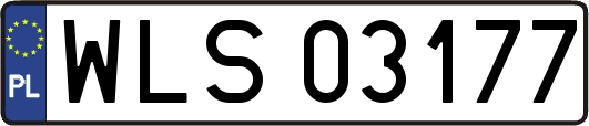 WLS03177