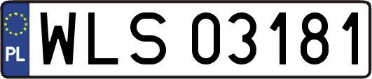 WLS03181