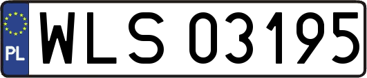WLS03195