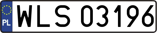 WLS03196
