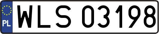 WLS03198