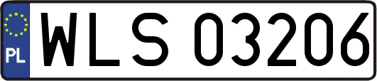 WLS03206