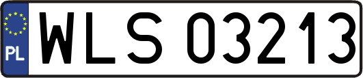 WLS03213