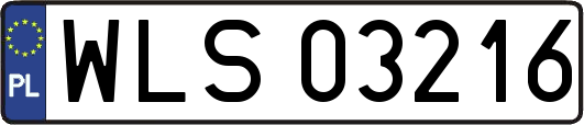 WLS03216