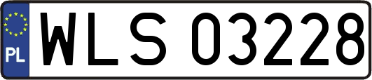 WLS03228