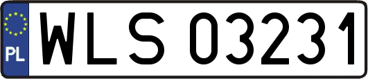 WLS03231
