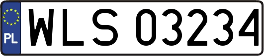 WLS03234
