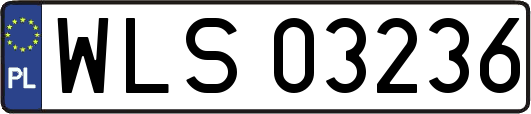 WLS03236
