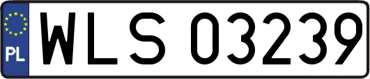 WLS03239