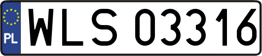 WLS03316