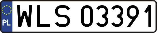WLS03391