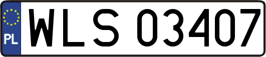 WLS03407