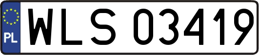 WLS03419