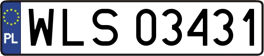 WLS03431