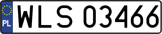 WLS03466