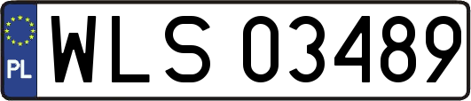 WLS03489