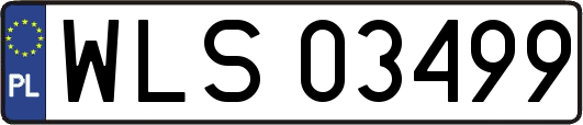 WLS03499