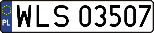 WLS03507