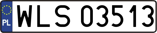 WLS03513