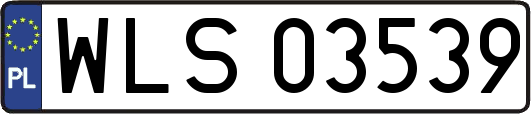 WLS03539